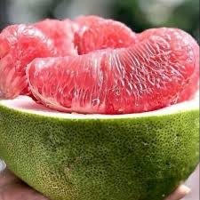 Pomelo - Rouge Red QLD ONLY