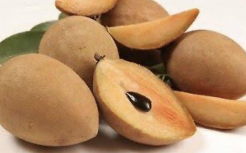 Sapodilla / Chicku