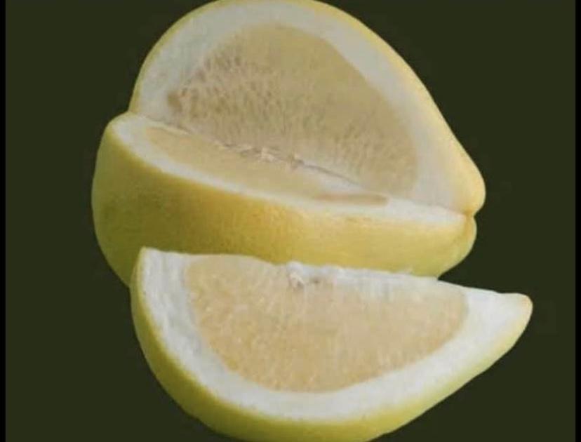 Dwarf Pomelo - Nam Roi RESTRICED TO QLD