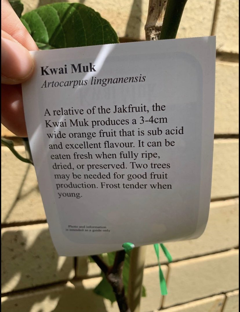 Kwai Muk