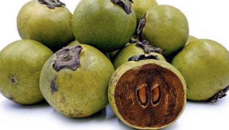 Black Sapote / Chocolate Pudding Fruit