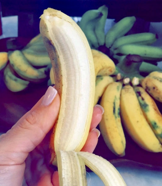 Banana - Goldfinger SOUTH EAST QLD ONLY