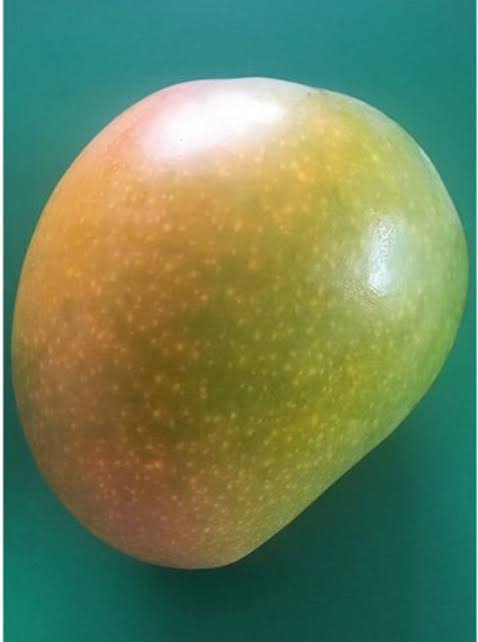 Mango - Florigon