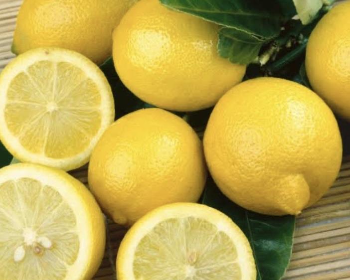 Lemon - Lisbon: RESTRICTED TO QLD