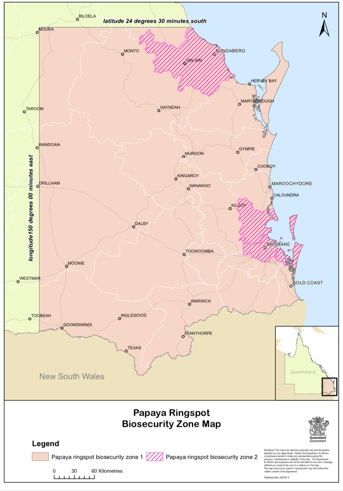 Paw Paw - Red Self Pollinating RESTRICTED TO SOUTH EAST QLD