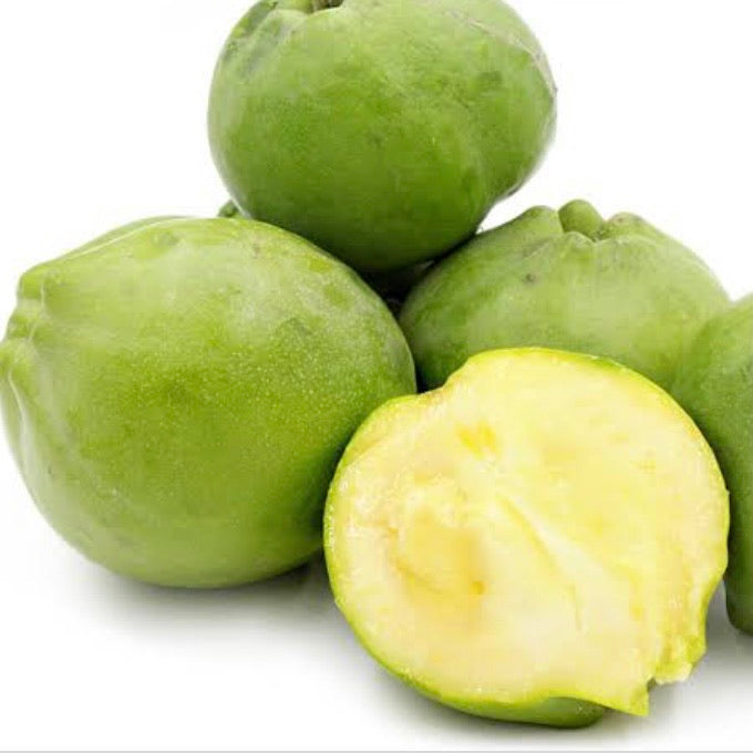 White Sapote
