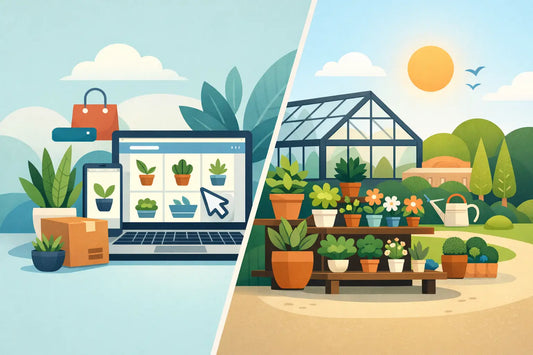 Online Nursery vs Garden Centre: Which Suits You?