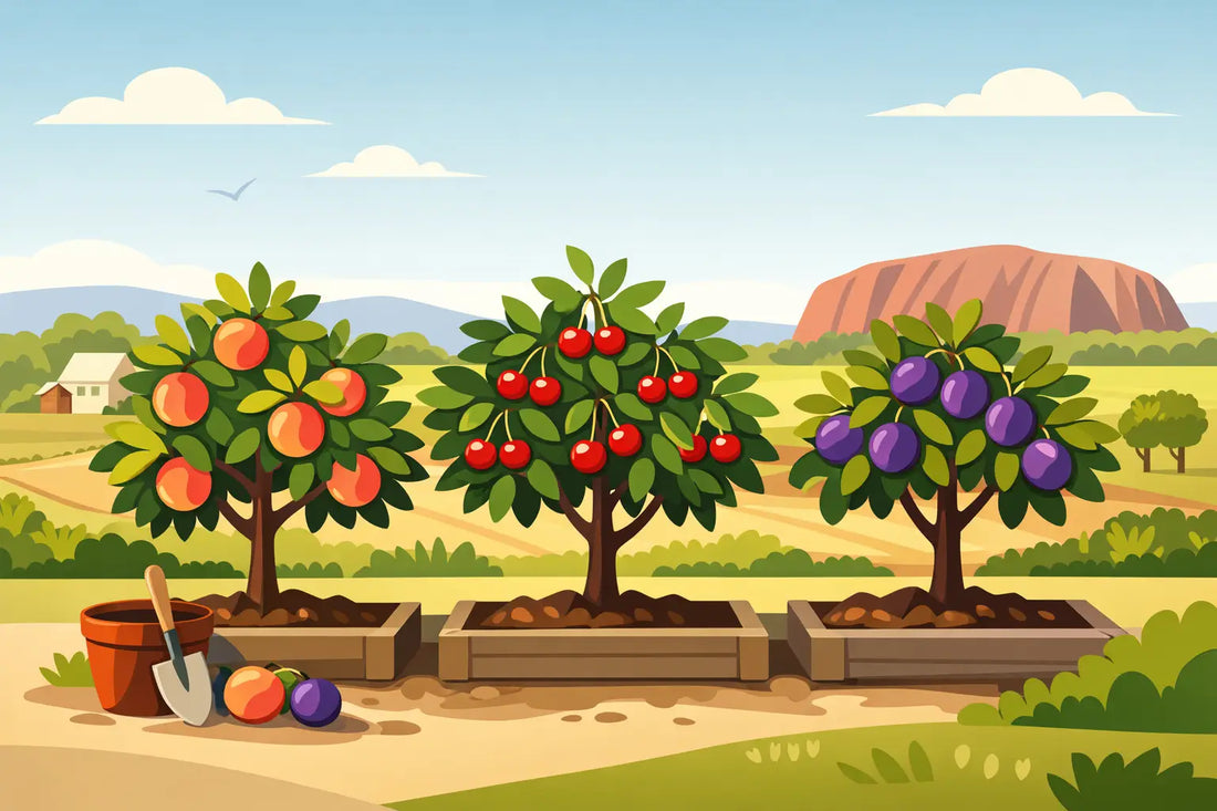 Dwarf Stone Fruit Trees Australia Guide