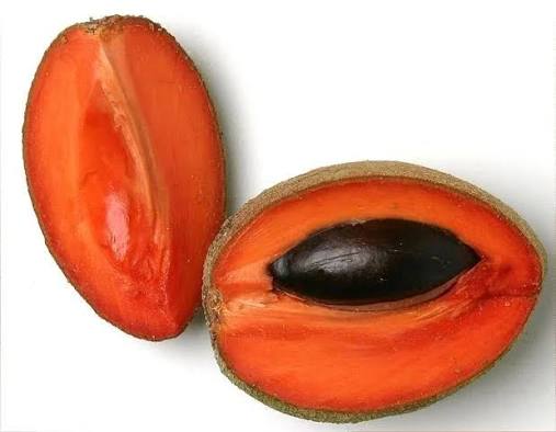 Mamey Sapote