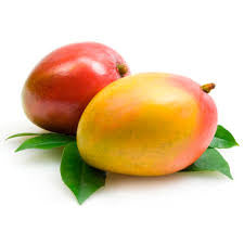 Mango - Kent