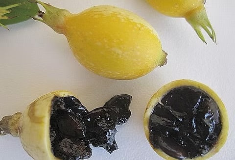 Blackberry Jam Fruit