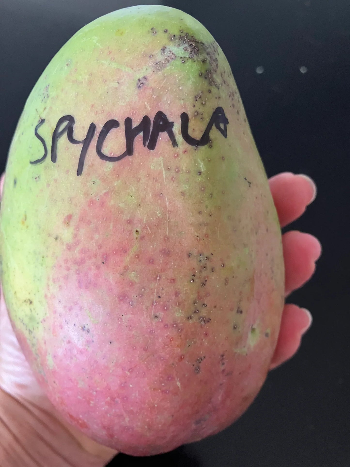 Mango - Spychala