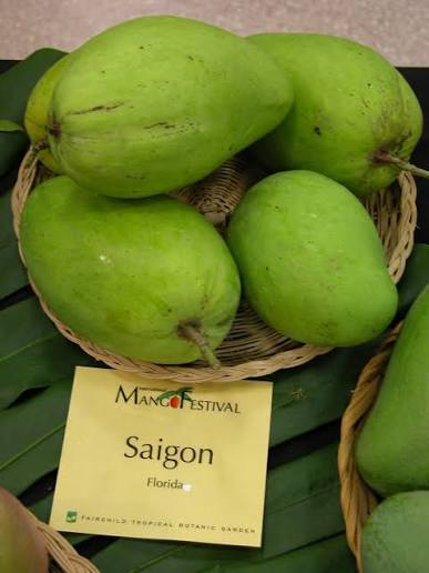 Mango - Saigon