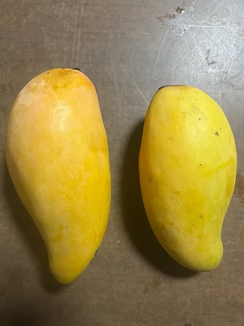 Mango - Hong Sa (Thailand)