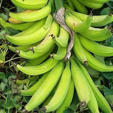 Banana - Horn Plantain