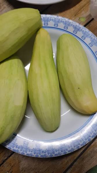 Mango - Cobra Tongue