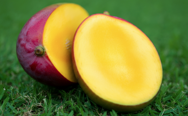 Mango - Zillate