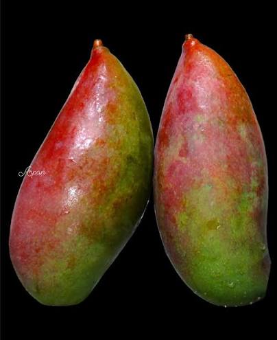 Mango - Anderson