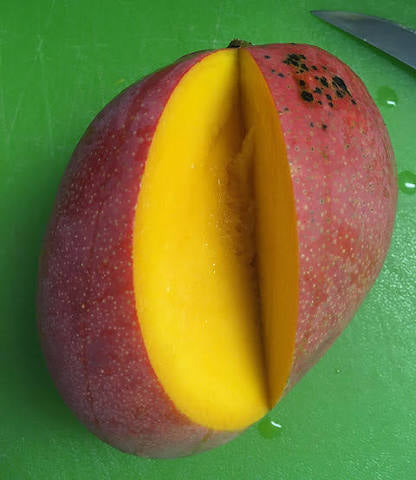 Mango - Fruit Punch (Florida)