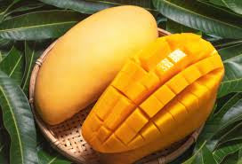 Mango - Ken