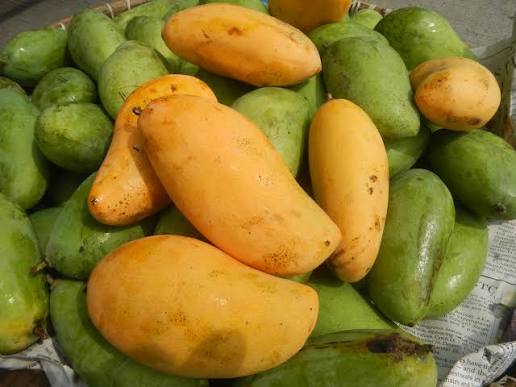 Mango - Pico (Phillipines)