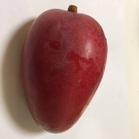 Mango - Smith (Hawaii)