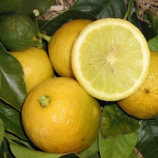 Orange - Bergamot QLD ONLY