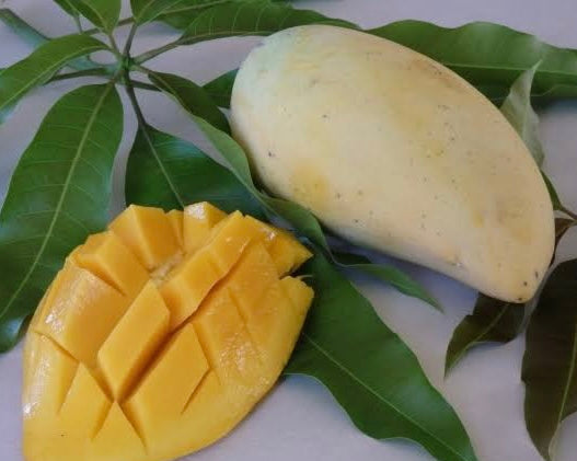 Mango - Banana Callo