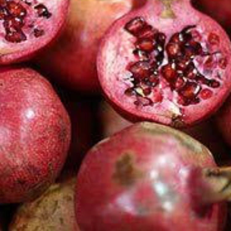 Pomegranate - Griffiths Red