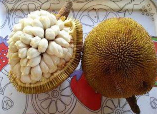 Marang