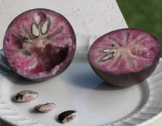 Star Apple - Haitian