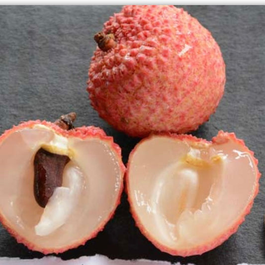 Lychee - Lin San Sue