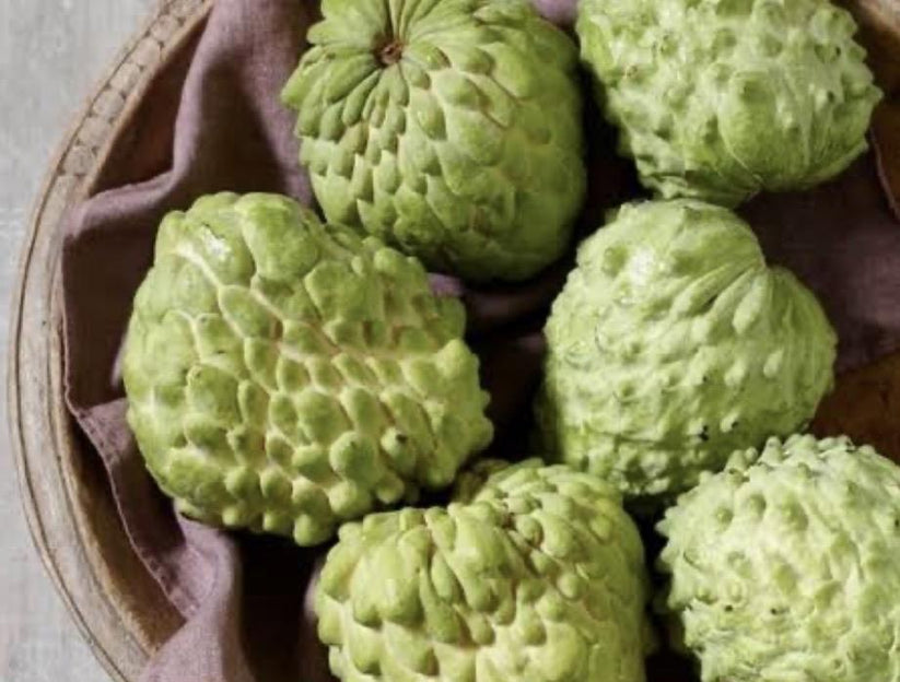 Custard Apple - African Pride – Fruitopia Nursery