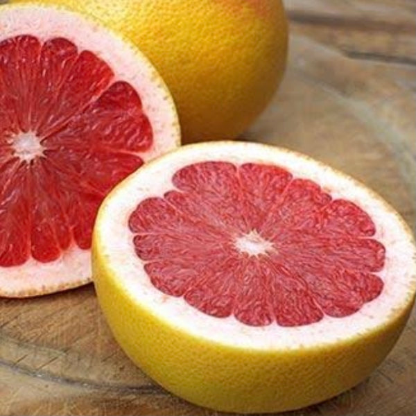 Grapefruit Rio Red RESTRICTED TO QLD Fruitopia Nursery