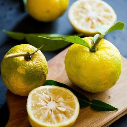 Lemon - Yuzu RESTRICTED TO QLD