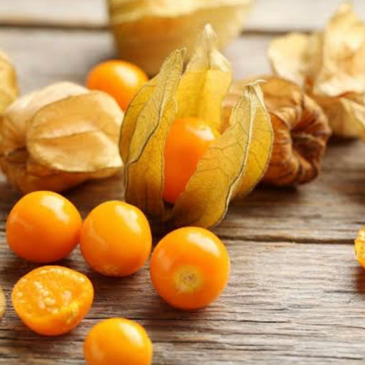 Cape Gooseberry