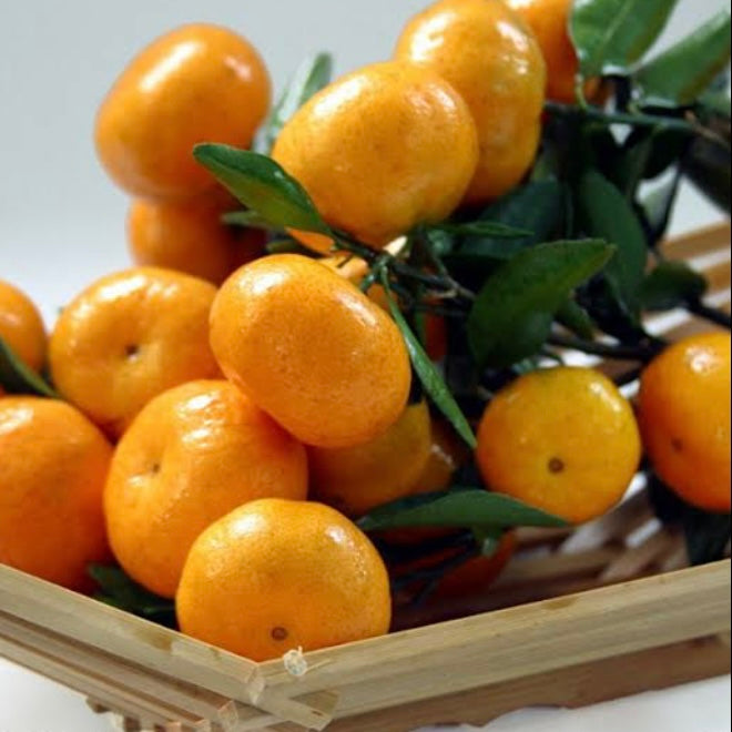 Mandarin - Honey Murcott