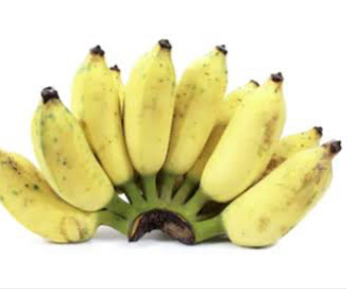 Banana - Duccase / Sugar Banana RESTRICTED TO SE QLD