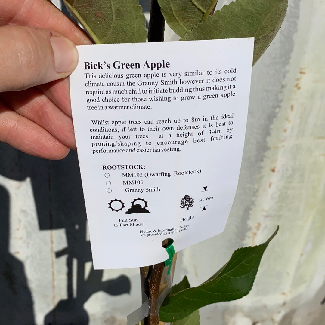 Apple Bick’s Green Fruitopia Nursery