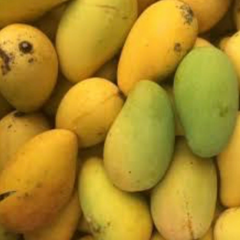 Mango - Lemon Zest