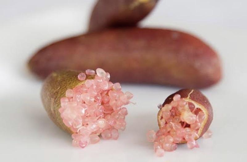 Finger Lime - Pink: RESTRICTED TO QLD