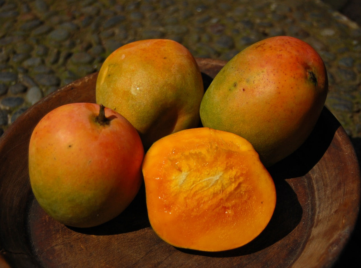 Mango - Gedong