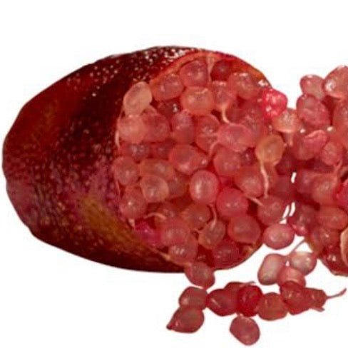 Finger Lime - Rainforest Pearl RESTRICTED TO QLD